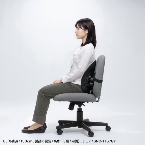 SNC-CS5BK / ダブルバックランバーサポート