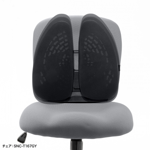 SNC-CS5BK / ダブルバックランバーサポート