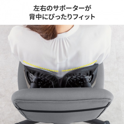 SNC-CS5BK / ダブルバックランバーサポート