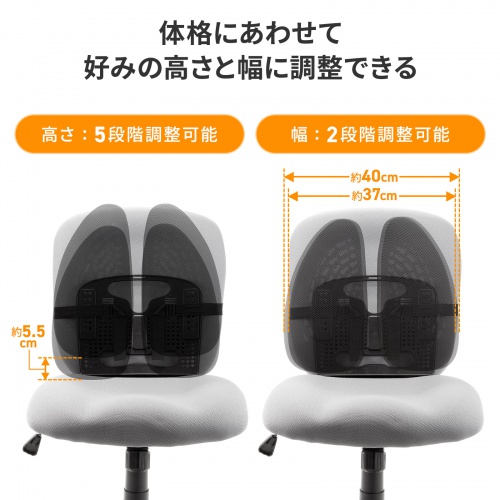SNC-CS5BK / ダブルバックランバーサポート