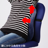 SNC-LSERG2 ランバーサポート(形状記憶ウレタン使用) SNC-LSERG2 / ランバーサポート(形状記憶ウレタン使用)