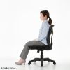 SNC-NET28BK / メッシュチェア