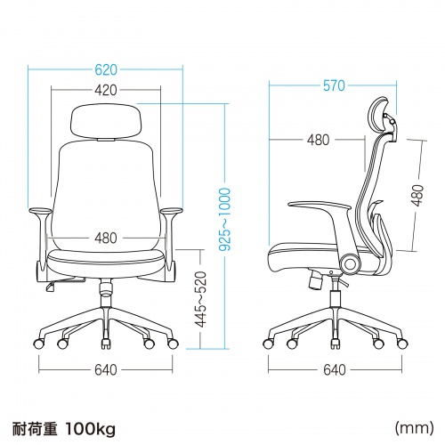 SNC-NET29BK / メッシュチェア