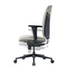 SNC-T160BG 高機能ハイバックオフィスチェア(グレージュ) SNC-T160BG / 高機能ハイバックオフィスチェア(グレージュ)