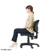SNC-T162BK オフィスチェア(ブラック) SNC-T162BK / オフィスチェア(ブラック)