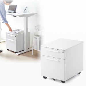 SNW-105W