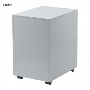 SNW-106GY