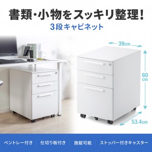 SNW-106W