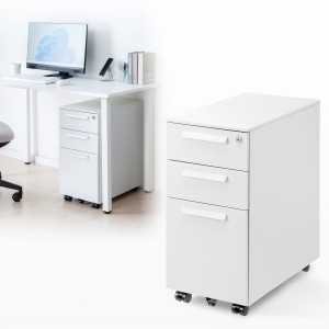 SNW-107W