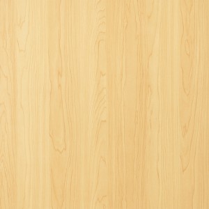 SPT-W18063LM