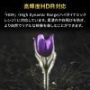 SW-HDR21BD 4K・HDR・HDCP2.2対応HDMI切替器(2入力・1出力または1入力・2出力) SW-HDR21BD / 4K・HDR・HDCP2.2対応HDMI切替器(2入力・1出力または1入力・2出力)