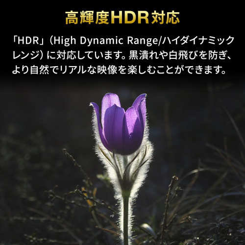 SW-HDR21BD / 4K・HDR・HDCP2.2対応HDMI切替器（2入力・1出力または1入力・2出力）