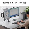 SW-KVM22HUUS デュアルディスプレイ・4K対応HDMIパソコン切替器(エミュレーション非搭載・2:1) SW-KVM22HUUS / デュアルディスプレイ・4K対応HDMIパソコン切替器(エミュレーション非搭載・2:1)