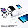 TAP-B49BK 便利タップ(2P・2個口+USB4ポート・1.8m・ブラック) TAP-B49BK / 便利タップ(2P・2個口+USB4ポート・1.8m・ブラック)
