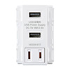 TAP-KJUSB2AC1W AC付き埋込USB給電用コンセント(ホワイト) TAP-KJUSB2AC1W / AC付き埋込USB給電用コンセント(ホワイト)