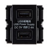 TAP-KJUSB2BK USB給電用埋め込みコンセント(USB 2ポート・5V 2.4A急速充電対応・ブラック) TAP-KJUSB2BK / USB給電用埋め込みコンセント(USB 2ポート・5V 2.4A急速充電対応・ブラック)