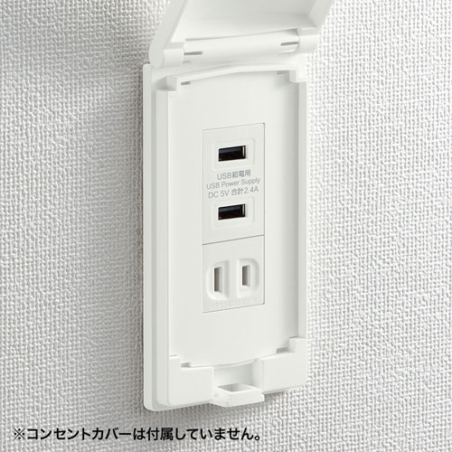 TAP-KJUSB2W / USB給電用埋め込みコンセント（USB 2ポート・5V 2.4A急速充電対応・ホワイト）