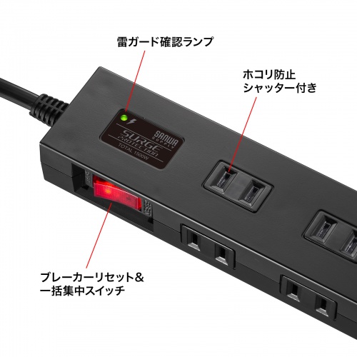 TAP-SP2110N-2BK / 雷ガードタップ（10個口・2m・ブラック）