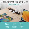 TAP-SP2110N-1BK 雷ガードタップ(10個口・1m・ブラック) TAP-SP2110N-1BK / 雷ガードタップ(10個口・1m・ブラック)