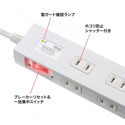 TAP-SP2110N-3W / 雷ガードタップ（10個口・3m・ホワイト）　