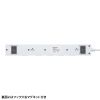 TAP-SP2110NUC-2W USB充電機能付きタップ 10個口 ホワイト・2m TAP-SP2110NUC-2W / USB充電機能付きタップ 10個口 ホワイト・2m