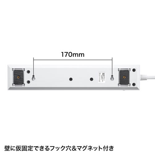 TAP-SP2110SW-1 / 節電タップ（2P・10個口・1m）