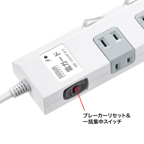 TAP-SP2110SW-1 / 節電タップ（2P・10個口・1m）