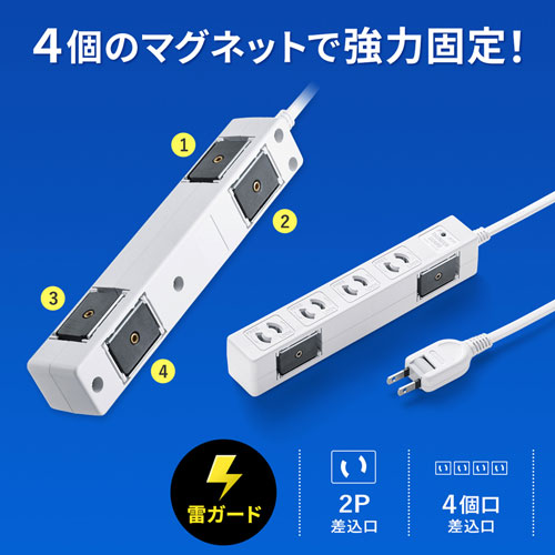 TAP-SPWMG24-5 / 雷ガードタップ（2P・4個口・5m）