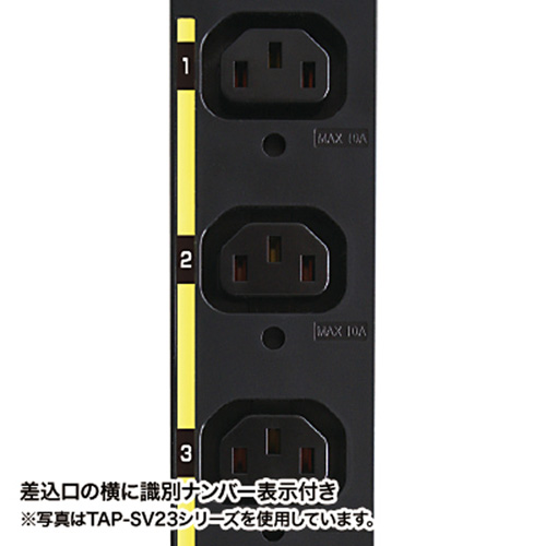 TAP-SV22012 / 19インチサーバーラック用コンセント（200V・20A・IEC C13・12個口・3m）