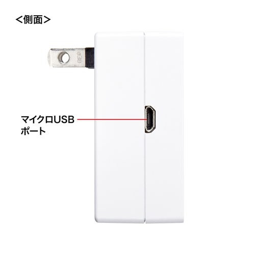 TAP-TST10N / ワットモニターUSB（2P・1個口・ホワイト）