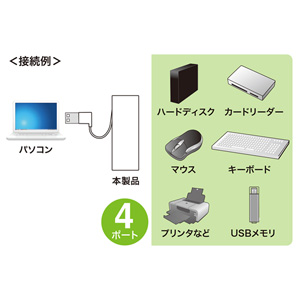 USB-2H406W