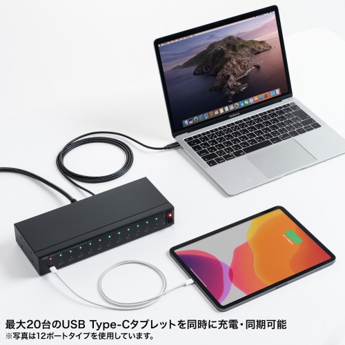 USB-2THCS20N / USB2.0 Type-C 20ポートハブ