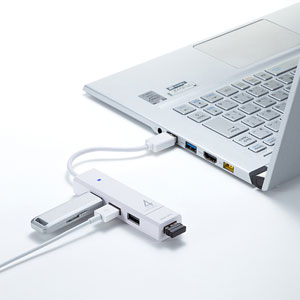 USB-3H421W