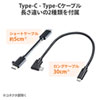 USB-3TCH14S2 / USB Type-C ドッキングハブ（HDMI・LANポート・カードリーダー搭載）