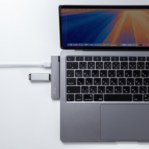 USB-5TCPC30GM / USB 5Gbps 2ポート スリムハブ（カードリーダー付き）
