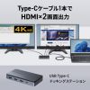 USB-CVDK15 USB Type-Cドッキングステーション(HDMI×2画面出力対応) USB-CVDK15 / USB Type-Cドッキングステーション(HDMI×2画面出力対応)