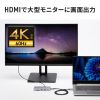 USB-CVDK22 / USB Type-Cドッキングステーション（10in1）