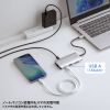 USB-DKM11S / USB Type-C ドッキングステーション