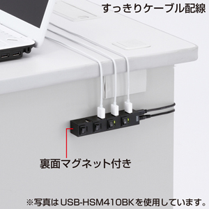 USB-HSM410W