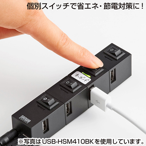 USB-HSM410W
