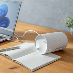 USB-TOY103W
