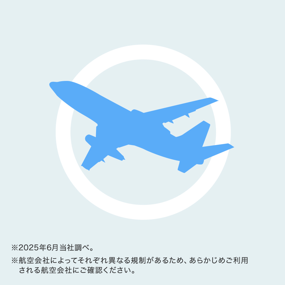 飛行機内持ち込み可