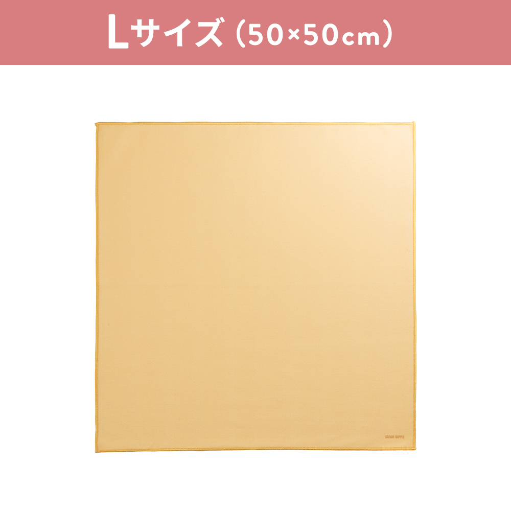 CD-CCW3BG