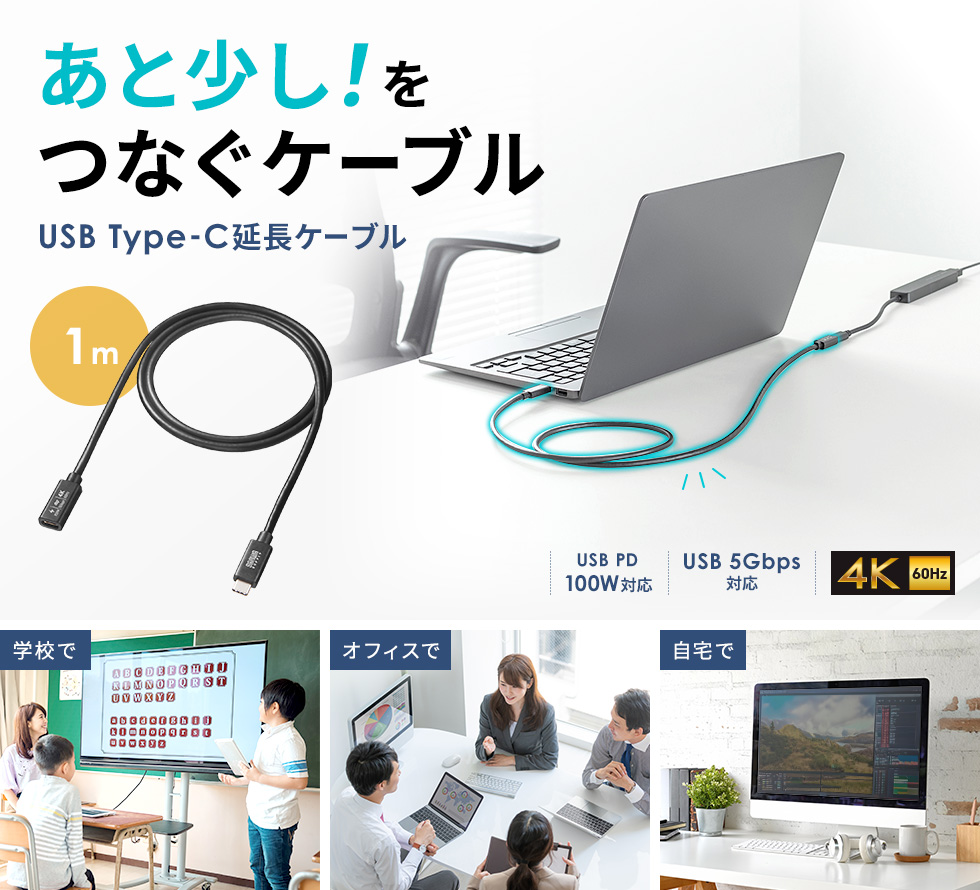 USB5Gbps Type-C延長ケーブル。DisplayPort Alternate Mode（4K60Hz）・PD100W対応・1m。